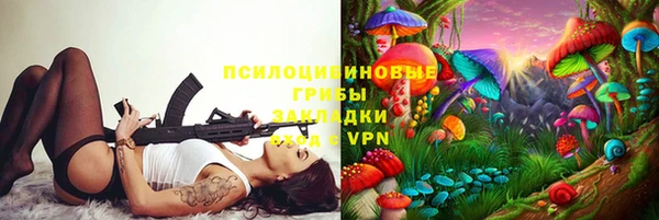 первитин Осинники